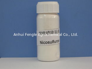 Nicosulfuron 97٪ TC، Systemic Selective Broadleaf Weed Killer، Off-white powder