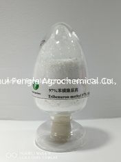 95٪ Tc Tribenuron Methyl Herbicide Powder CAS رقم 101200-48-0