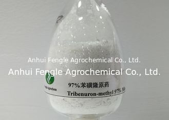 رقم سجل المستخلصات الكيميائية 101200-48-0 مبيدات الأعشاب 95٪ TC Tribenuron-Methyl