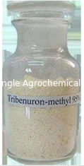 مبيدات الأعشاب الانتقائية Tribenuron Methyl Herbicide 95٪ Tc لمكافحة الحشائش عريضة الأوراق