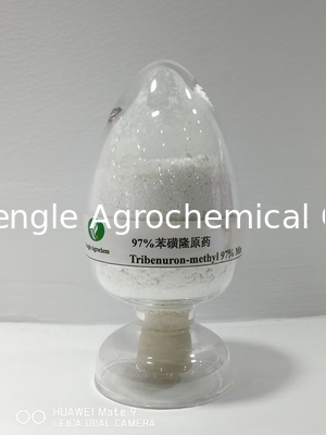 المبيدات الكيماوية الزراعية Tribenuron-Methyl White Power 97٪ TC
