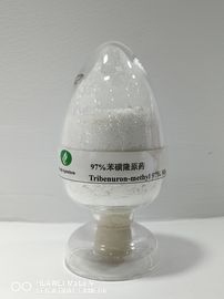 Tribenuron-methyl95٪ TC ، مبيدات الأعشاب الزراعية ، الحشائش عريضة الأوراق بعد ظهورها